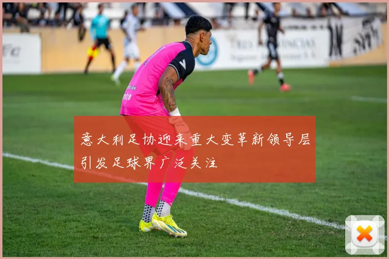 意大利足协迎来重大变革新领导层引发足球界广泛关注